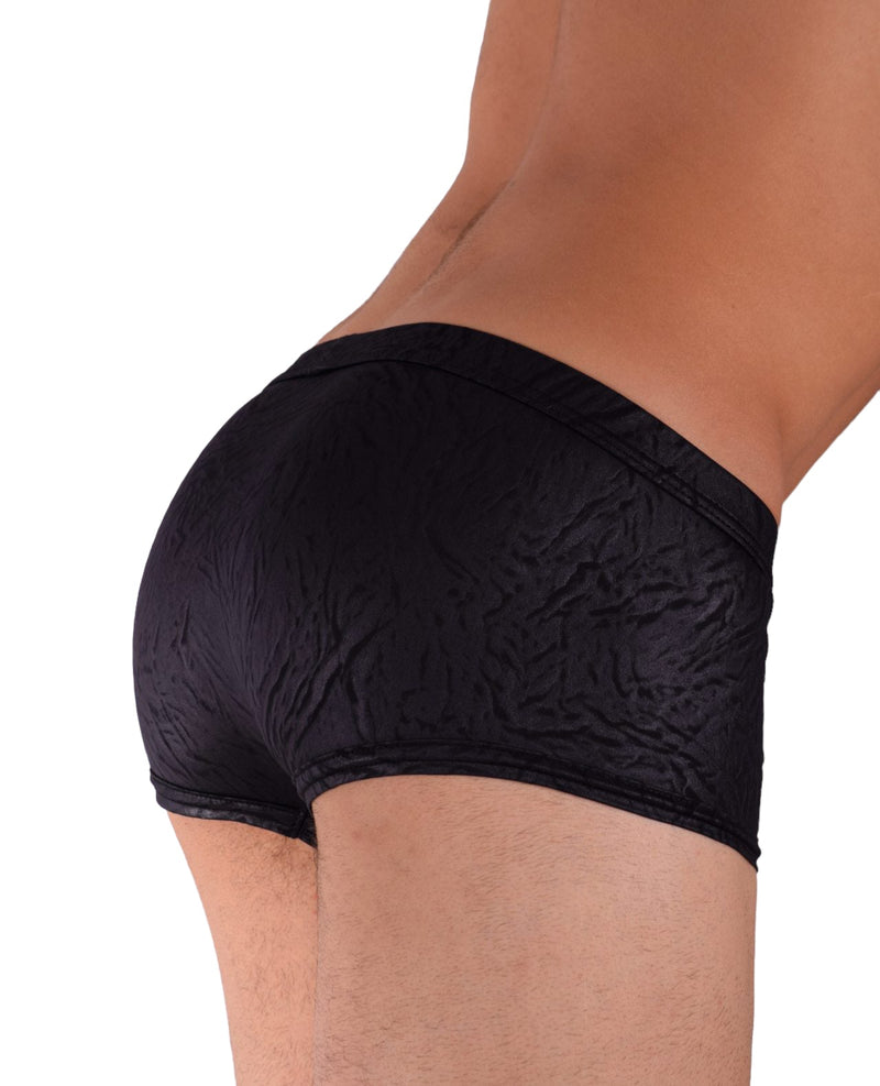 XS Gregg Homme City limit Boxer Brief 122705 2