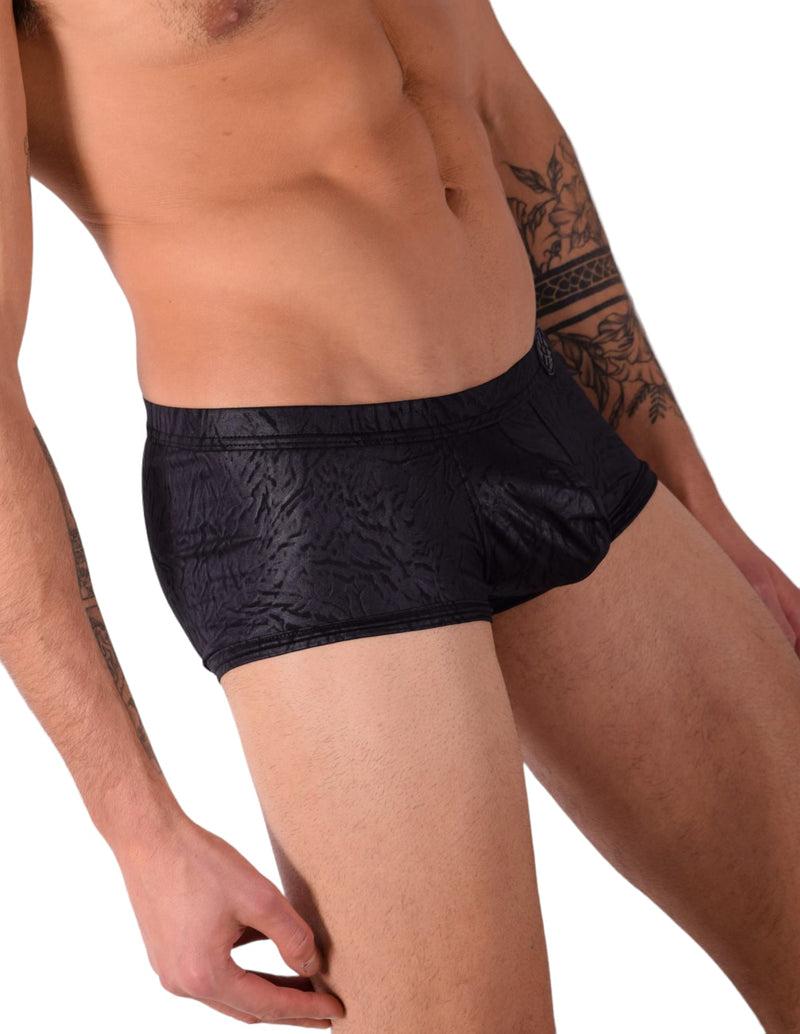 XS Gregg Homme City limit Boxer Brief 122705 2
