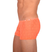 XS/S SMU Tanning Walking around C - Thru Orange Mini Boxer MX19 340373