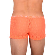 XS/S SMU Tanning Walking around C - Thru Orange Mini Boxer MX19 340377