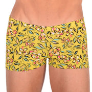 XXS/XS Boxer Sheer Skin Molding Floral Explosion Yellow 33551 MX134