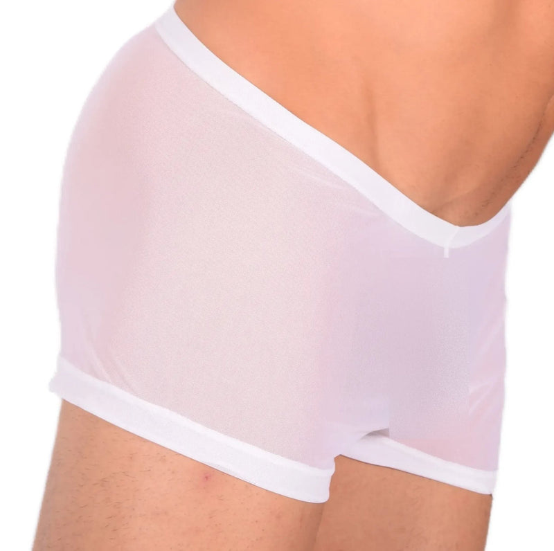 XXS/XS Mini Boxer C - Thru White 33555 MX131