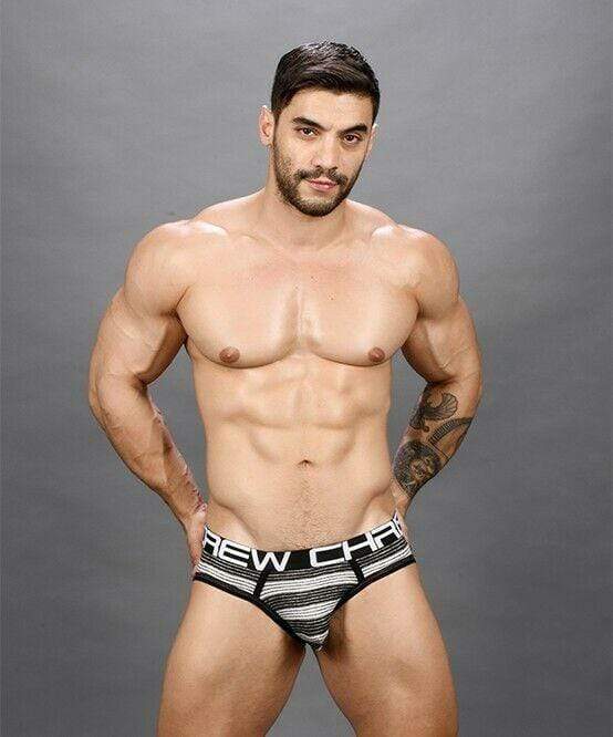 Andrew Christian Brief Ultra Stripe Briefs Chic Slip Black / White 91364 42 - SexyMenUnderwear.com