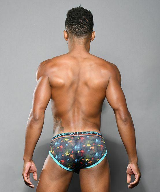 Andrew Christian Briefs Palm Springs Chic West-Coast Mesh Brief 92059 53 - SexyMenUnderwear.com