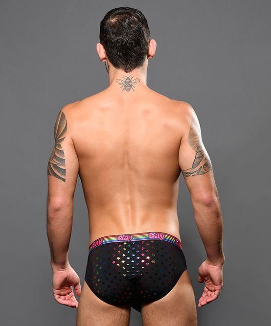 Andrew Christian Gay Stars Brief Show Your Pride Signature Briefs 92195 43 - SexyMenUnderwear.com