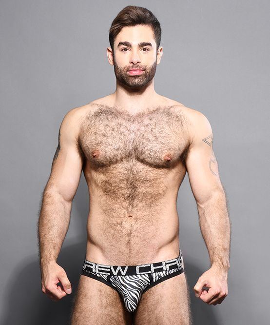 Andrew Christian Jockstrap Metallic Zebra Brief Jock 92294 61 - SexyMenUnderwear.com