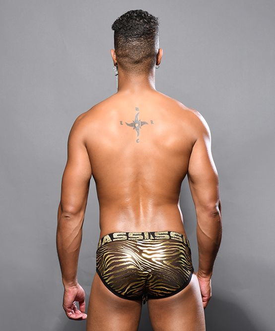 ANDREW CHRISTIAN Sheer Brief Massive 4-Way Stretch Mesh Briefs 92238 40 - SexyMenUnderwear.com