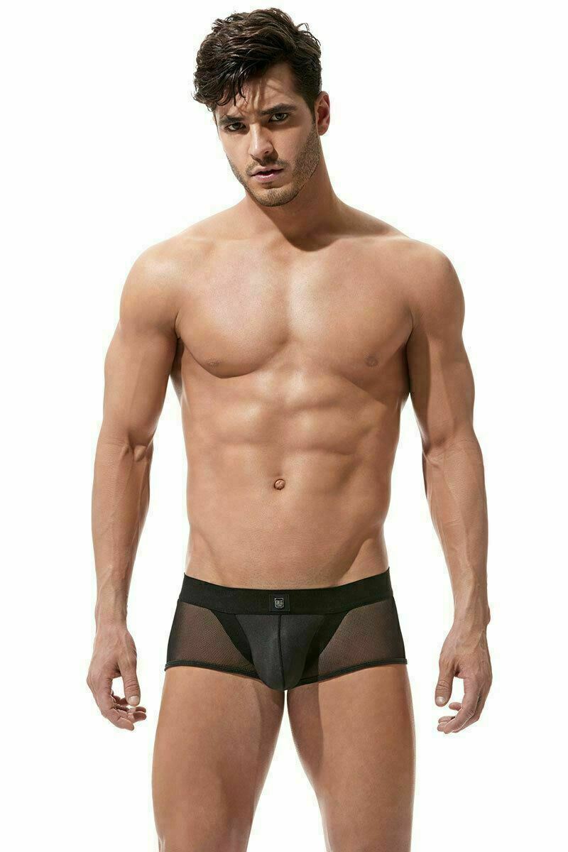 Boxer Gregg Homme Avant-Garde Back Mesh Trunk Fishnet Black 160405 92 - SexyMenUnderwear.com
