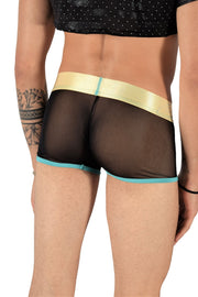 Boxer TANN MONTREAL Mesh Trunks Show Me Off Transparent Trunk Turquoise 4 - SexyMenUnderwear.com