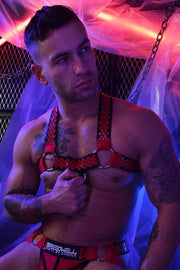 BREEDWELL HEX Harness With Premium Pvc Back Strap Removable Front Red 37 - SexyMenUnderwear.com