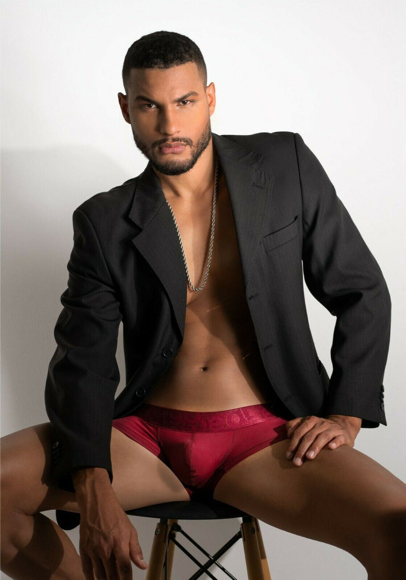 ErgoWear Boxer MAX XV Silky Boxer Briefs Stetchy Microfiber Burgundy 1171 32 - SexyMenUnderwear.com