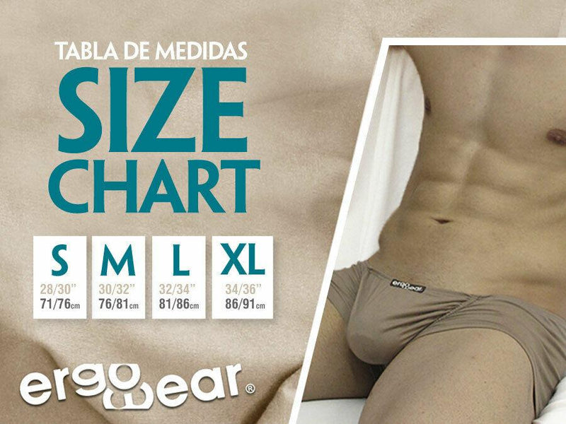 ErgoWear Tanga Brief Max XV Cut Mens Slip Satin Finish Silver 0829 12 - SexyMenUnderwear.com