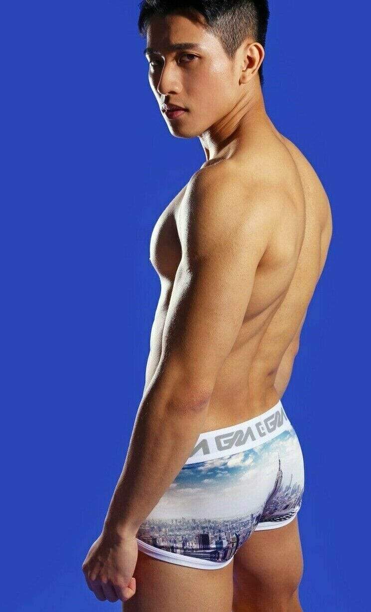 GARCON MODEL Boxer Trunk Tagless New York City Print 3 - SexyMenUnderwear.com
