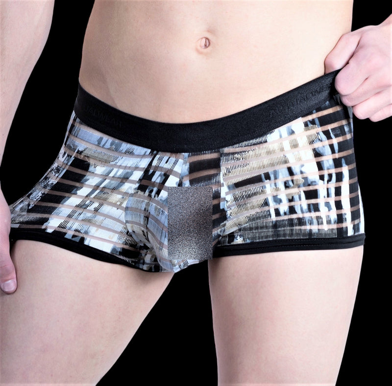 Gregg Homme 3G Stripper Semi Sheer Boxer Brief 6001 4 - SexyMenUnderwear.com