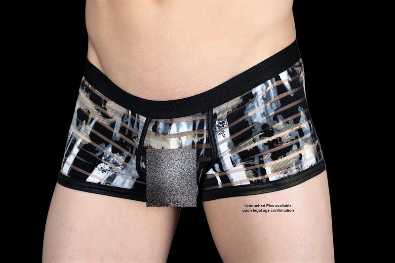 Gregg Homme 3G Stripper Semi Sheer Boxer Brief 6001 4 - SexyMenUnderwear.com