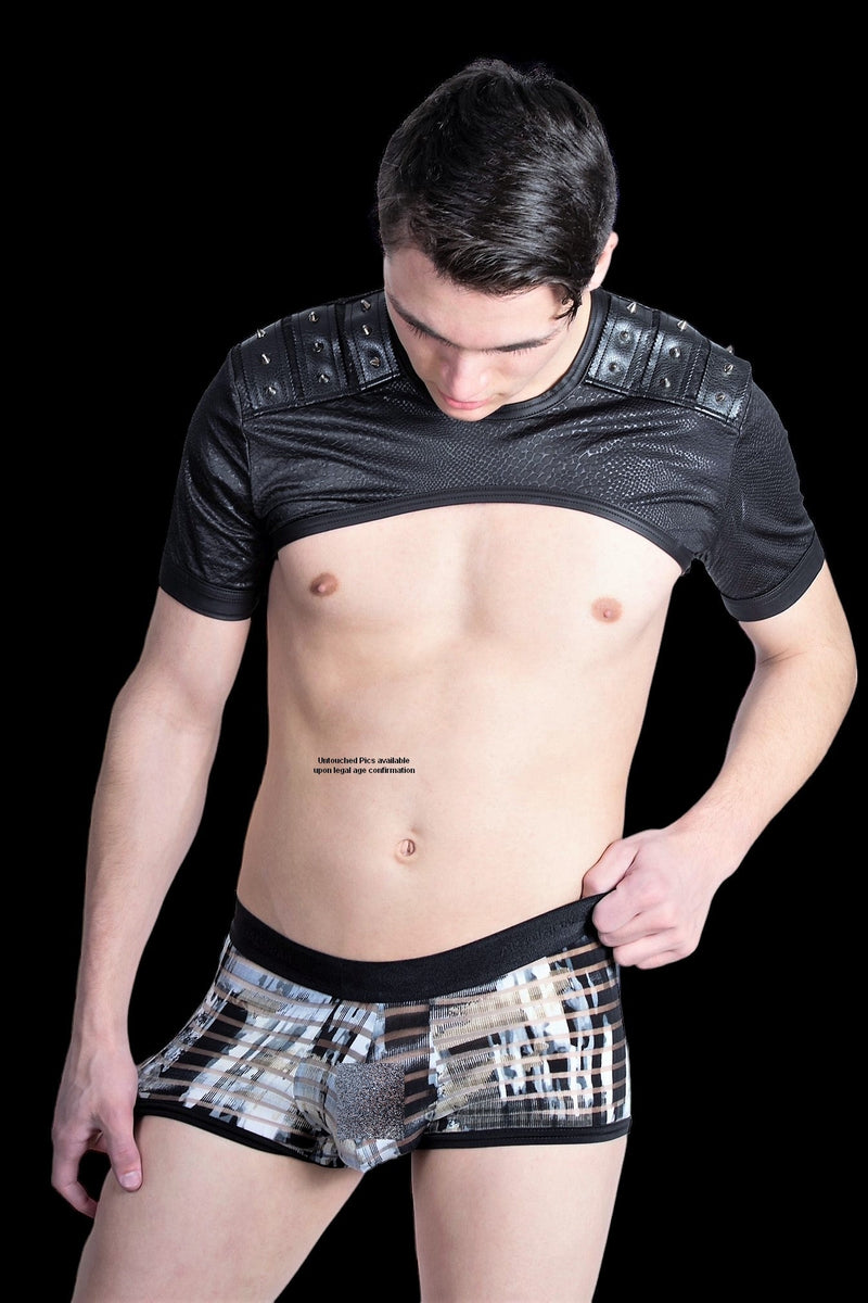 Gregg Homme 3G Stripper Semi Sheer Boxer Brief 6001 4 - SexyMenUnderwear.com