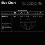 Gregg Homme Activ Boxer Brief Silky White 76305 1 - SexyMenUnderwear.com