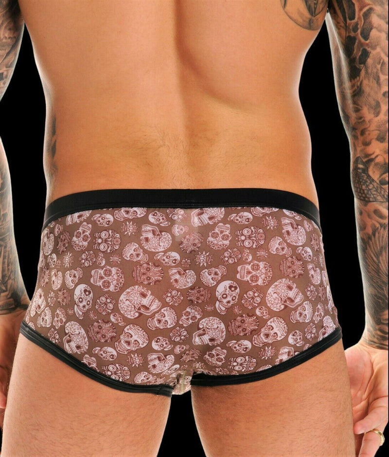 Gregg Homme Boxer Briefs Retro Skull Print Boxer Limited Edition 05 23 - SexyMenUnderwear.com