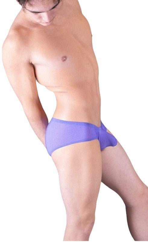 Gregg Homme Boxer Torridz Super Sexy Boxer Purple 87405 5 - SexyMenUnderwear.com