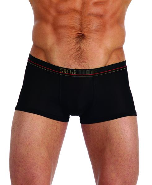 Gregg Homme Brief  103