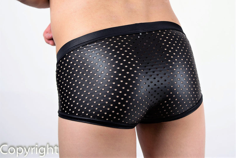 Gregg Homme IMPULSE 2.0 Boxer briefs Leather look 1019 8 - SexyMenUnderwear.com