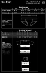 Gregg Homme Mens sheer Briefs Torridz Hyperstretch MicroFiber Black 87423 9 - SexyMenUnderwear.com