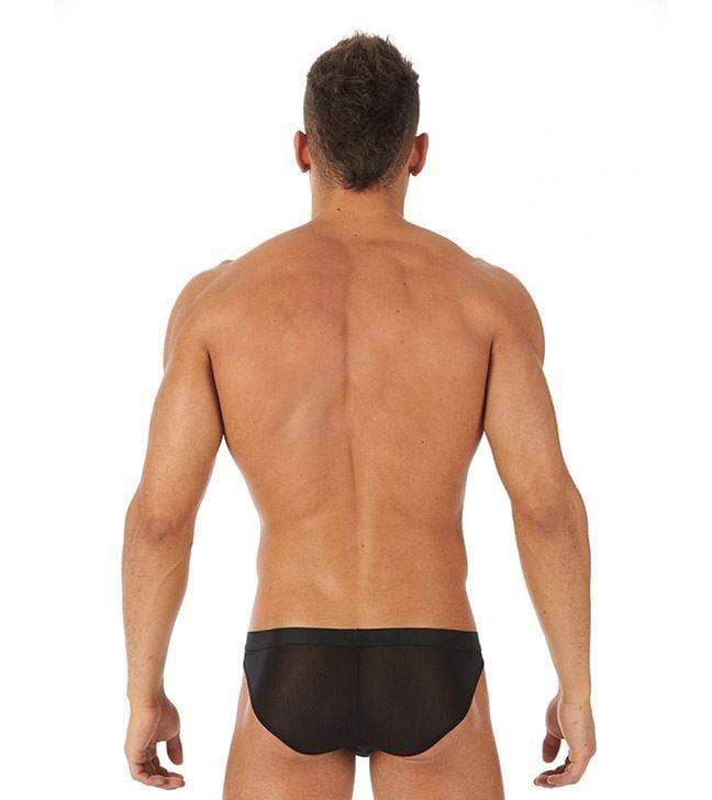 Gregg Homme Mens sheer Briefs Torridz Hyperstretch MicroFiber Black 87423 9 - SexyMenUnderwear.com