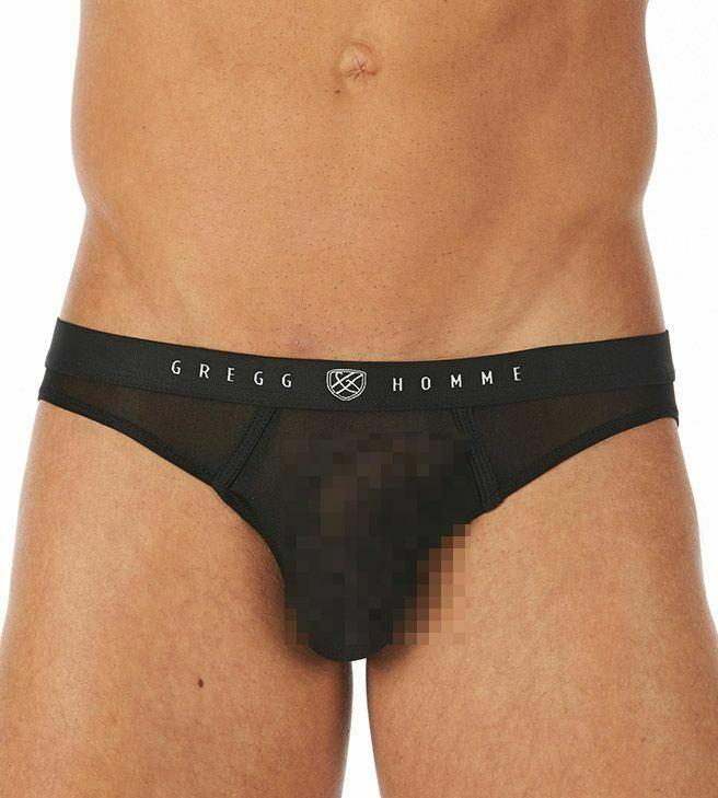 Gregg Homme Mens sheer Briefs Torridz Hyperstretch MicroFiber Black 87423 9 - SexyMenUnderwear.com
