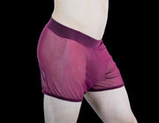 Gregg Homme Special edition Hardcore See-Through Mesh Boxer MX1 - SexyMenUnderwear.com