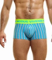 Modus Vivendi Boxer Exclusive Ecofriendly Cotton Boxer Classic Striped 24223 40 - SexyMenUnderwear.com
