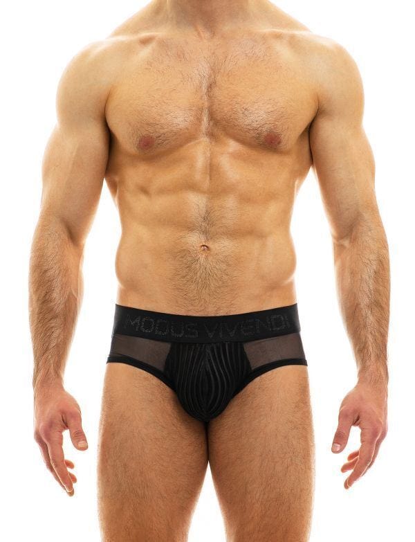 Modus Vivendi Low-Rise Briefs Tiffany's Velvet Elegant Black Brief 12014 29 - SexyMenUnderwear.com