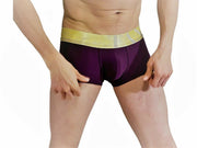 SexyMenUnderwear.com Collection TANN Boxer-Trunks Metallic Gold Elastic Waistband Plum 2