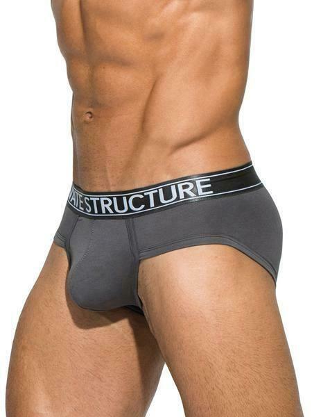 SexyMenUnderwear.com Private Structure Brief Sport Platinum Platinum Low Rise Gray 3748 55