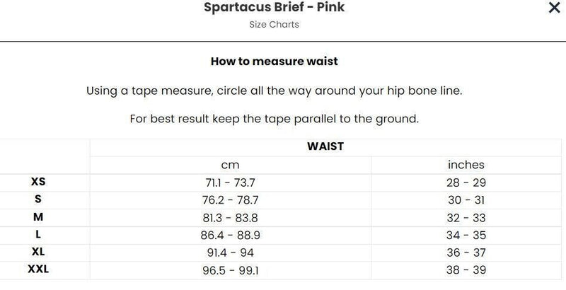 TEAMM8 Spartacus Briefs Super Quick-Dry Brief Pride Purple 13