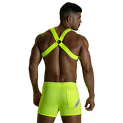 TOF PARIS H-Shaped Elastic Harness With Back-Zamac Buckle Neon Yellow
