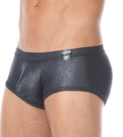 XS Gregg Homme Photoshoot  City limit 122705 boxer 2