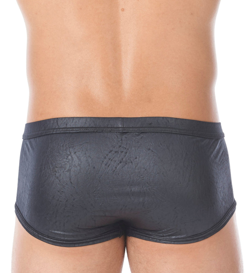 XS Gregg Homme Photoshoot  City limit 122705 boxer 2