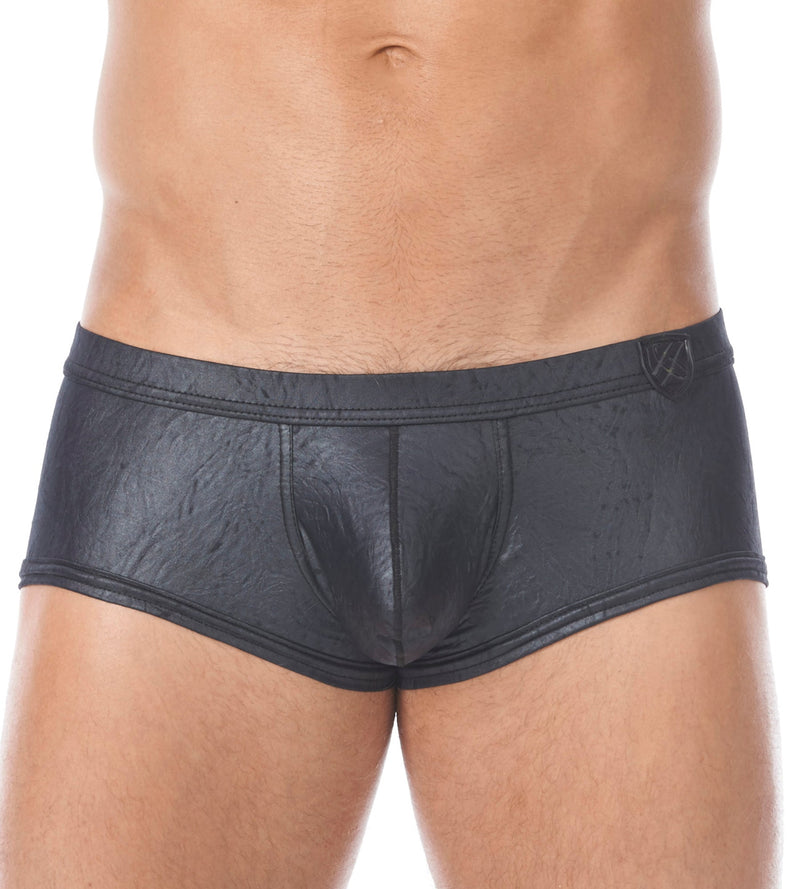 XS Gregg Homme Photoshoot  City limit 122705 boxer 2