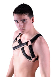 XS to Small Photo Shoot Hot Gregg Homme KIT